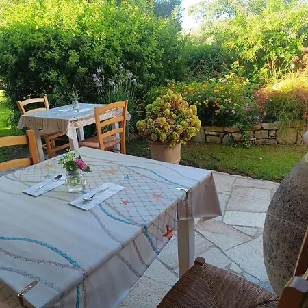 Vendégház Domu Speciosa