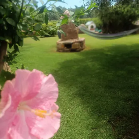 Vendégház Domu Speciosa 3*