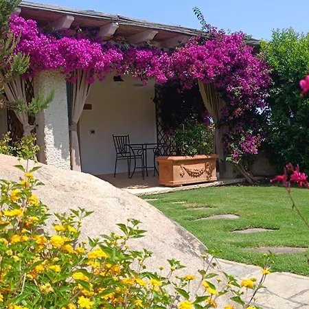 Vendégház Domu Speciosa 3*