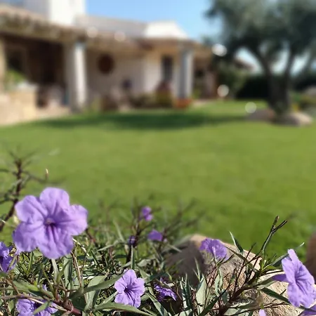 Domu Speciosa Vendégház