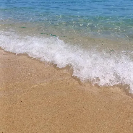 Vendégház Domu Speciosa 3*