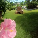 Affittacamere Domu Speciosa 3*